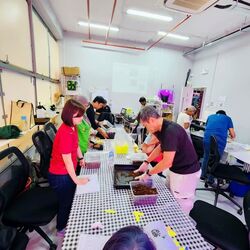 Excalibur Centre (D14), Factory #626956641